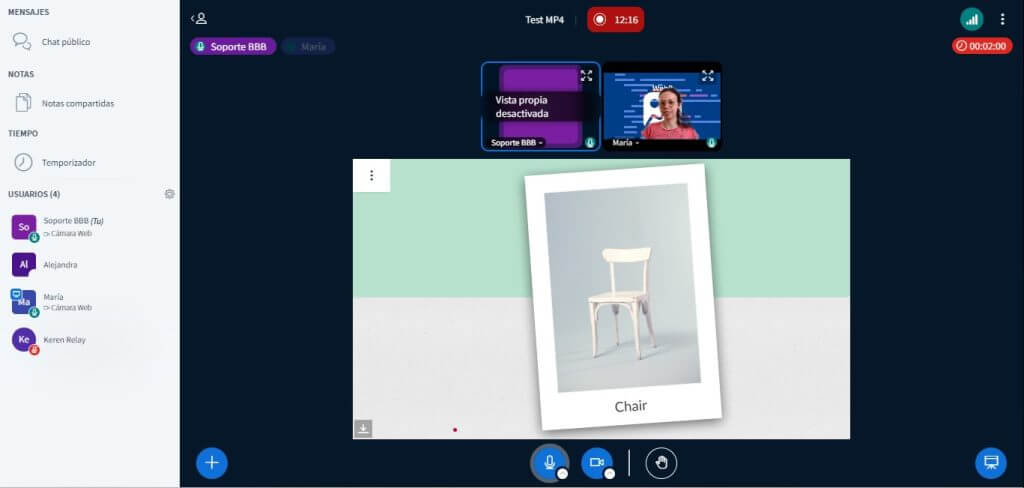 Interfaz de BigBlueButton durante una sesión virtual mostrando el mensaje de vista propia desactivada
